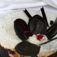 Фото шоколадного торта. Шоколадный торт с вишенкой фотография
