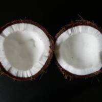 Фото Кокосовый орех. Изображение раскрытого кокосового ореха