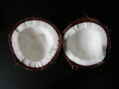 Фото Кокосовый орех. Изображение раскрытого кокосового ореха