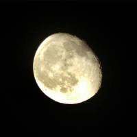Фото Луны в последней четверти. Фотография Луны высокого качества. Луна в последней четверти фото
